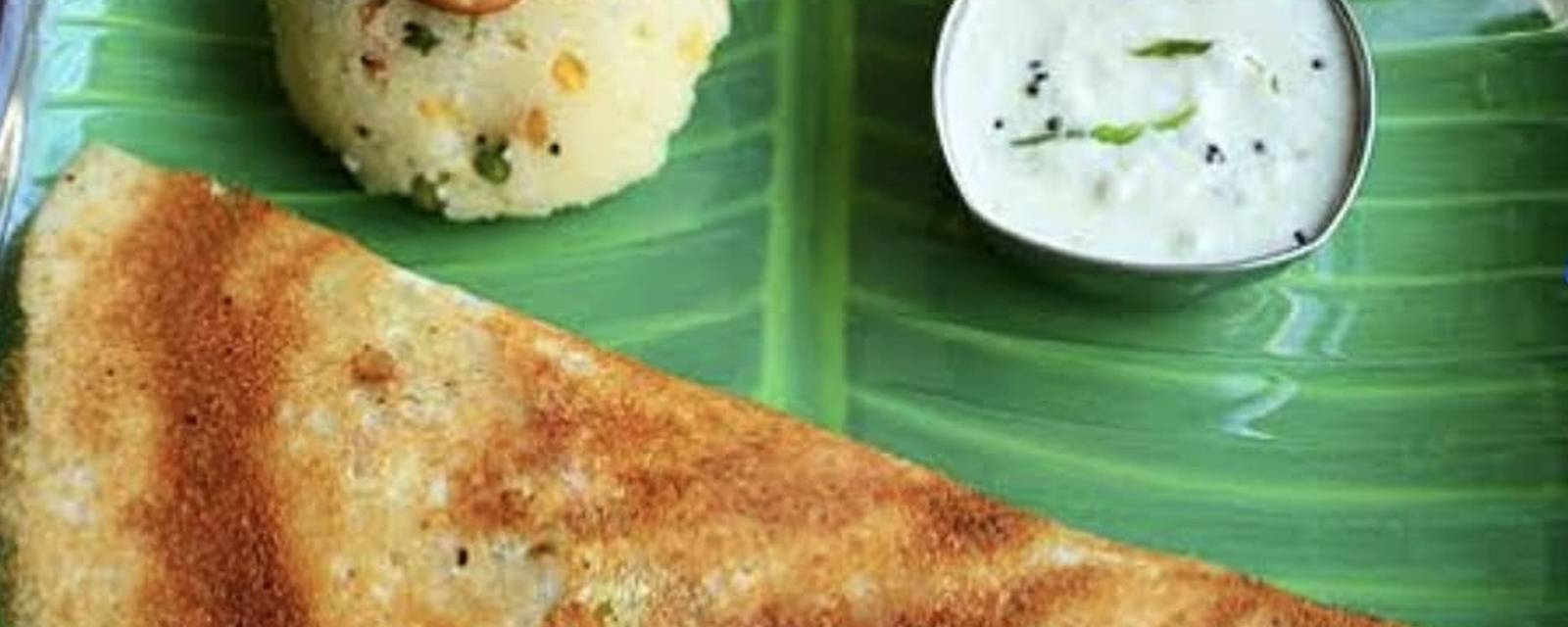 Primium Food In cover
